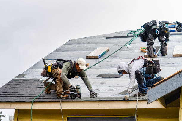 Professional Gutter Installation technician working in Moulton, TX